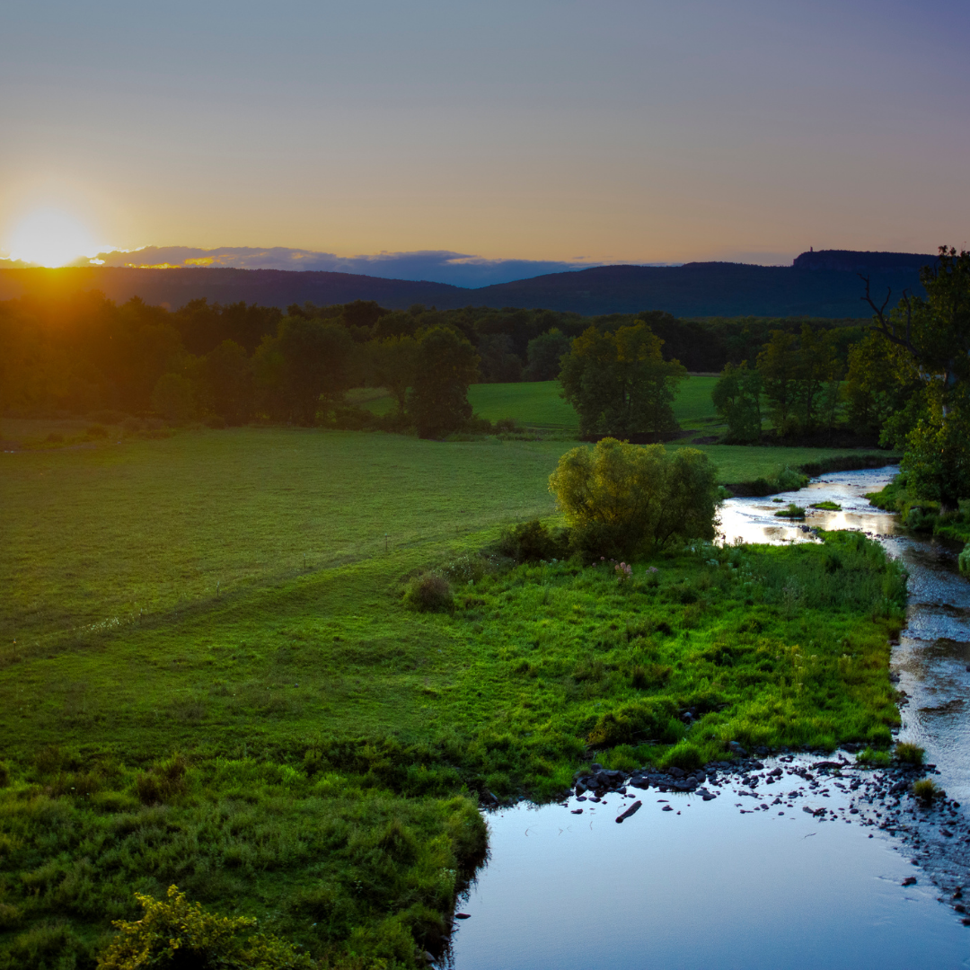 ROOTED: ART + LAND, for Upstate Art Weekend