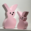 3D Printed Bunny Bank.