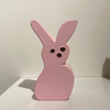 3D Printed Bunny Bank.